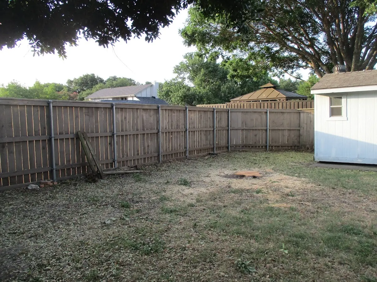 Cleared yard after professional tree removal in Changewater